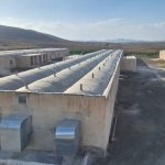 فروش مرغداری ۶۰ هزاری