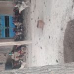 مرغ خروس فروشی