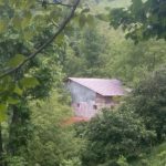 زمین و دامداری