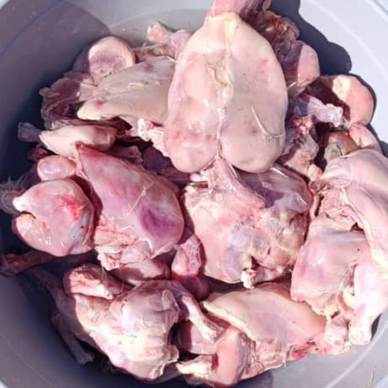 غذای سگ و گربه