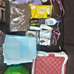 سگ توله 4 ماه پامرین اشپیتز شناسنامه دار تمام واکسناش خوده