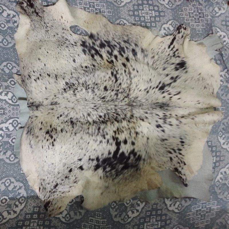 پوست گاو وبز