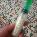 حلزون اچانتینا
